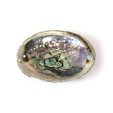 Abalone Shell - Polished Crystal Charging Bowl for Cleansing Rituals, Jewelry Display and Spiritual Home Decor