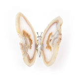 Banded Agate Natural Butterfly - Natural Geode Display Piece for Sparkling Home Decor, Collector Shelves and Crystal Gifting