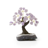 Purple Amethyst Bonsai Tree - Gemstone Tree of Life Decor for Home Energy, Desk Display and Crystal Gifting - S