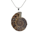 Ammonite Pendant - Hand-Selected Gemstone Jewelry for Everyday Energy, Layered Styling and Meaningful Gifting