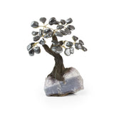 Mirror-Polished Hematite Bonsai Tree - Gemstone Tree of Life Decor for Home Energy, Desk Display and Crystal Gifting