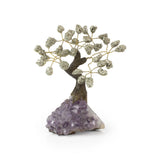 Golden Metallic Pyrite Bonsai Tree - Gemstone Tree of Life Decor for Home Energy, Desk Display and Crystal Gifting