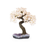 Soft Pink Rose Quartz Bonsai Tree - Gemstone Tree of Life Decor for Home Energy, Desk Display and Crystal Gifting