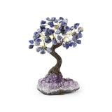 Sodalite Bonsai Tree - Gemstone Tree of Life Decor for Home Energy, Desk Display and Crystal Gifting