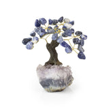 Sodalite Bonsai Tree - Gemstone Tree of Life Decor for Home Energy, Desk Display and Crystal Gifting