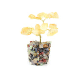 Golden Citrine Tree on Mixed Gems - Gemstone Tree of Life Decor for Home Energy, Desk Display and Crystal Gifting